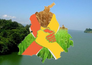 Punjab Farmer Suicides