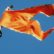Hindutva Flag