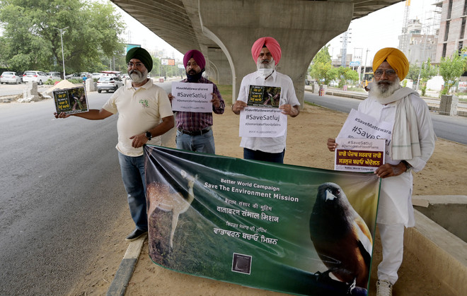 Mattewara Forest Protest